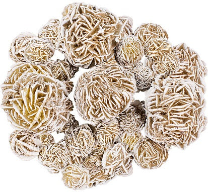 Desert Rose