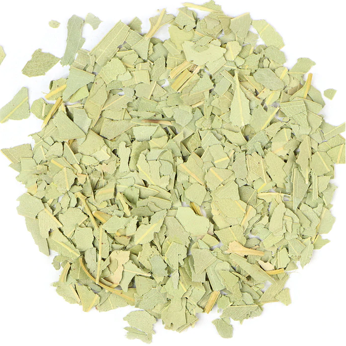 Eucalyptus