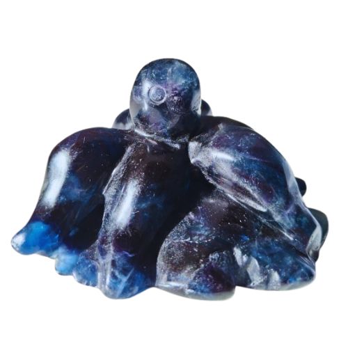 Black Rose Fluorite Octopus