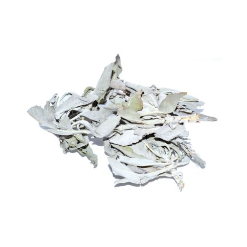 White Sage