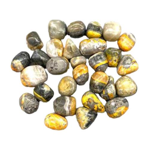 Bumblebee Jasper