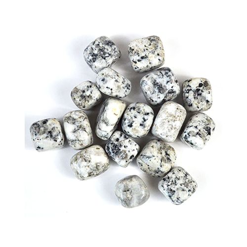 Dalmatian Jasper